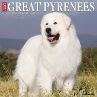 Book Cover for Just Great Pyrenees 2024 12 X 12 Wall Calendar by Willow Creek Press