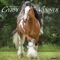 Book Cover for Gypsy Vanner Horse 2024 12 X 12 Wall Calendar by Willow Creek Press