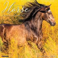 Book Cover for Happiness Is a Horse 2024 12 X 12 Wall Calendar by Willow Creek Press