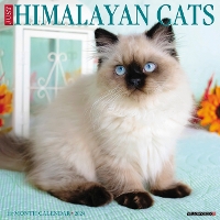 Book Cover for Just Himalayan Cats 2024 12 X 12 Wall Calendar by Willow Creek Press