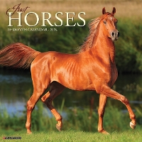 Book Cover for Just Horses 2024 12 X 12 Wall Calendar by Willow Creek Press