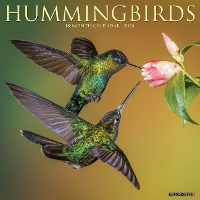 Book Cover for Hummingbirds 2024 12 X 12 Wall Calendar by Willow Creek Press