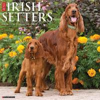 Book Cover for Just Irish Setters 2024 12 X 12 Wall Calendar by Willow Creek Press