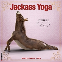 Book Cover for Jackass Yoga 2024 12 X 12 Wall Calendar by Willow Creek Press