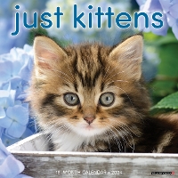 Book Cover for Just Kittens 2024 12 X 12 Wall Calendar by Willow Creek Press