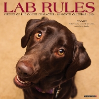 Book Cover for Lab Rules 2024 12 X 12 Wall Calendar by Willow Creek Press