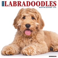 Book Cover for Just Labradoodles 2024 12 X 12 Wall Calendar by Willow Creek Press