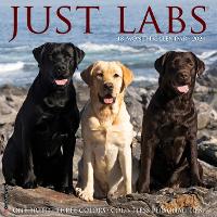 Book Cover for Just Labs 2024 12 X 12 Wall Calendar by Willow Creek Press