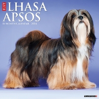 Book Cover for Just Lhasa Apsos 2024 12 X 12 Wall Calendar by Willow Creek Press