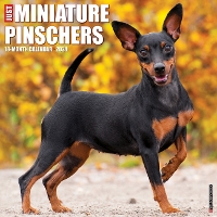 Book Cover for Just Miniature Pinschers 2024 12 X 12 Wall Calendar by Willow Creek Press