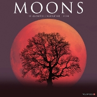 Book Cover for Moons 2024 12 X 12 Wall Calendar by Willow Creek Press