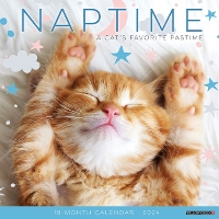 Book Cover for Naptime (Cats) 2024 12 X 12 Wall Calendar by Willow Creek Press