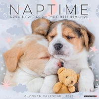 Book Cover for Naptime (Dogs & Puppies) 2024 12 X 12 Wall Calendar by Willow Creek Press