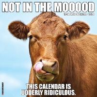 Book Cover for Not in the Mooood 2024 12 X 12 Wall Calendar by Willow Creek Press