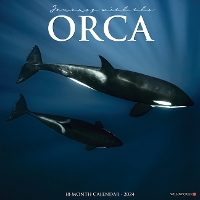 Book Cover for Orca (Journey with The) 2024 12 X 12 Wall Calendar by Willow Creek Press