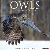 Book Cover for Owls 2024 12 X 12 Wall Calendar by Willow Creek Press