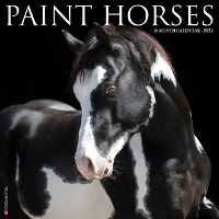 Book Cover for Paint Horses 2024 12 X 12 Wall Calendar by Willow Creek Press