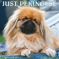 Book Cover for Just Pekingese 2024 12 X 12 Wall Calendar by Willow Creek Press