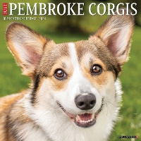 Book Cover for Just Pembroke Corgis 2024 12 X 12 Wall Calendar by Willow Creek Press