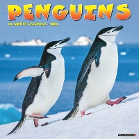 Book Cover for Penguins 2024 12 X 12 Wall Calendar by Willow Creek Press