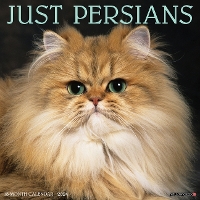 Book Cover for Just Persians 2024 12 X 12 Wall Calendar by Willow Creek Press