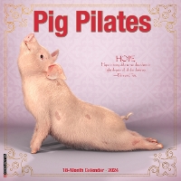 Book Cover for Pig Pilates 2024 12 X 12 Wall Calendar by Willow Creek Press