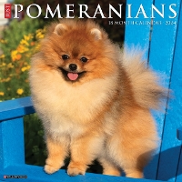 Book Cover for Just Pomeranians 2024 12 X 12 Wall Calendar by Willow Creek Press