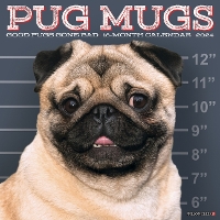 Book Cover for Pug Mugs 2024 12 X 12 Wall Calendar by Willow Creek Press