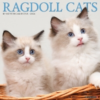 Book Cover for Ragdoll Cats 2024 12 X 12 Wall Calendar by Willow Creek Press