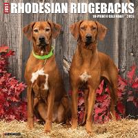 Book Cover for Just Rhodesian Ridgebacks 2024 12 X 12 Wall Calendar by Willow Creek Press