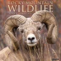 Book Cover for Rocky Mountain Wildlife 2024 12 X 12 Wall Calendar by Willow Creek Press