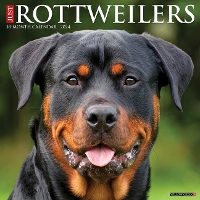 Book Cover for Just Rottweilers 2024 12 X 12 Wall Calendar by Willow Creek Press