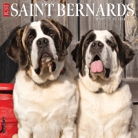 Book Cover for Just Saint Bernards 2024 12 X 12 Wall Calendar by Willow Creek Press