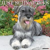 Book Cover for Just Schnauzers 2024 12 X 12 Wall Calendar by Willow Creek Press