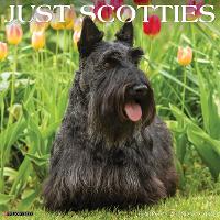 Book Cover for Just Scotties 2024 12 X 12 Wall Calendar by Willow Creek Press