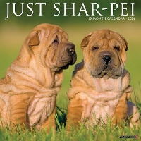 Book Cover for Just Shar-Peis 2024 12 X 12 Wall Calendar by Willow Creek Press