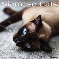 Book Cover for Siamese Cats 2024 12 X 12 Wall Calendar by Willow Creek Press