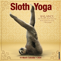 Book Cover for Sloth Yoga 2024 12 X 12 Wall Calendar by Willow Creek Press