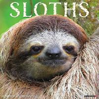 Book Cover for Sloths 2024 12 X 12 Wall Calendar by Willow Creek Press