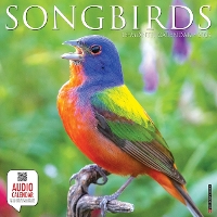 Book Cover for Songbirds 2024 12 X 12 Wall Calendar by Willow Creek Press