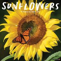 Book Cover for Sunflowers 2024 12 X 12 Wall Calendar by Willow Creek Press