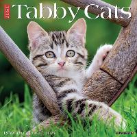 Book Cover for Just Tabby Cats 2024 12 X 12 Wall Calendar by Willow Creek Press