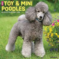 Book Cover for Just Toy & Miniature Poodles 2024 12 X 12 Wall Calendar by Willow Creek Press