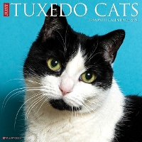 Book Cover for Just Tuxedo Cats 2024 12 X 12 Wall Calendar by Willow Creek Press