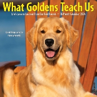 Book Cover for What Goldens Teach Us 2024 12 X 12 Wall Calendar by Willow Creek Press