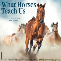 Book Cover for What Horses Teach Us 2024 12 X 12 Wall Calendar by Willow Creek Press