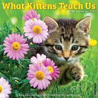 Book Cover for What Kittens Teach Us 2024 12 X 12 Wall Calendar by Willow Creek Press