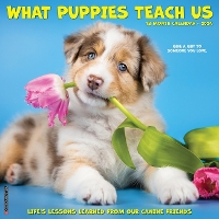 Book Cover for What Puppies Teach Us 2024 12 X 12 Wall Calendar by Willow Creek Press