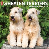 Book Cover for Just Wheaton Terriers 2024 12 X 12 Wall Calendar by Willow Creek Press
