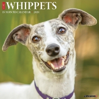 Book Cover for Just Whippets 2024 12 X 12 Wall Calendar by Willow Creek Press